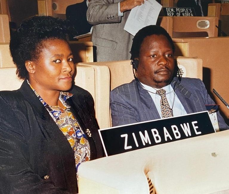 Mangwende in media development